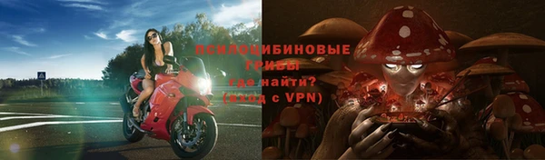 МДПВ Алексеевка