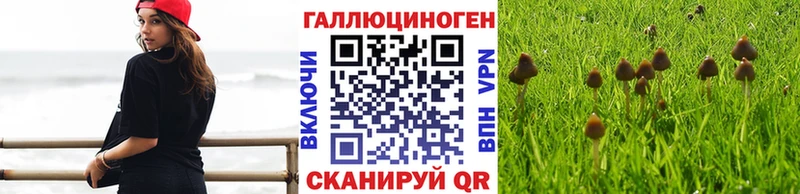 магазин продажи   blacksprut ссылка  Псилоцибиновые грибы Psilocybe  Крымск 